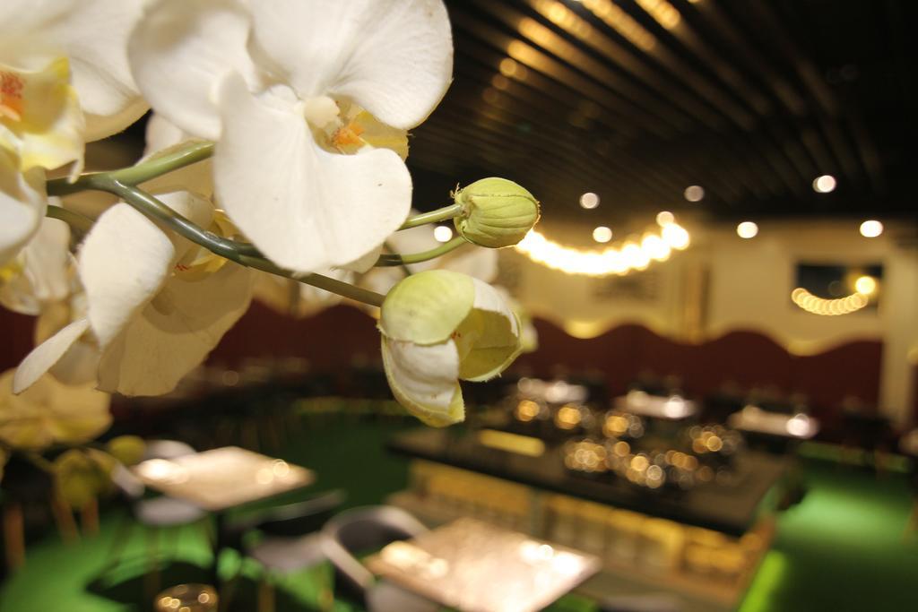 Eloisa Royal 3* Lapu-Lapu City
