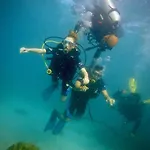 Alegria Dive Resort