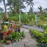 Bamboo Huts