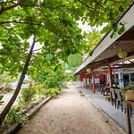 Oyo 853 Malapascua Beach And Dive Resort