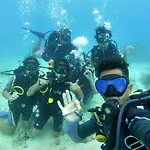 Malapascua Beach And Dive Resort