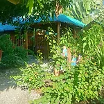 Moalboal Bamboo House / Rooms