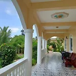 The Ivory Castle
