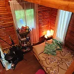 Small Cabin In The South