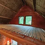 Small Cabin In The South