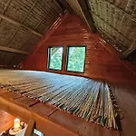 Small Cabin In The South