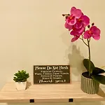 Modern Studio Condo In Avida Riala It Park, Cebu