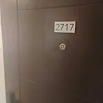 Avida Riala T2 2717 It Park