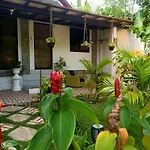 Chief\'S Villa Rentals Malapascua Island