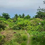 Celtis Resort