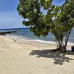 Dominiks Nature And Silent Jungle Studio Epic Ocean View Tambuli Mactan Pool Beach High Floor