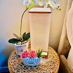 111B Amani Grand Resort Residences Condotel Near Mactan Airport