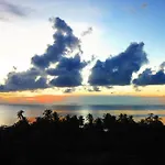 Parrot Paradise Resort