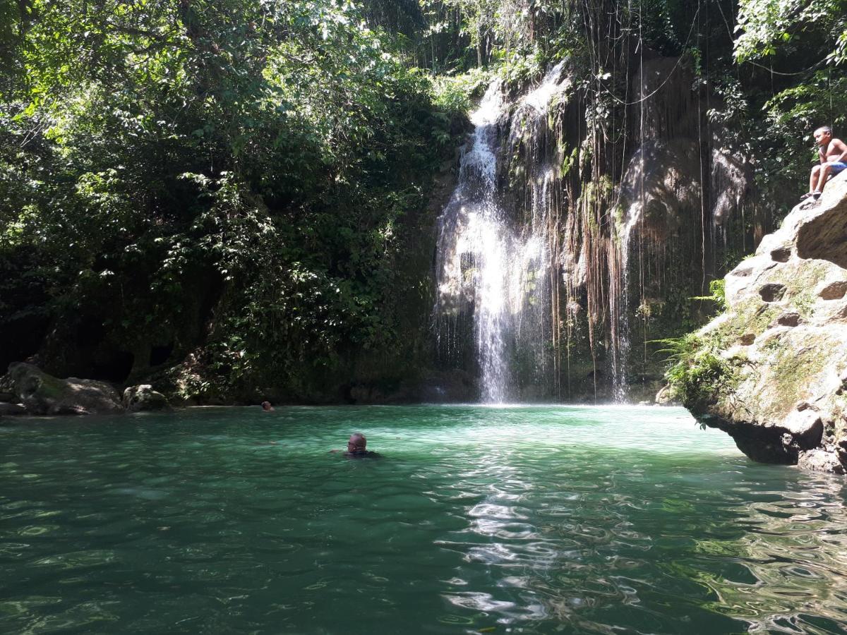Alegria Dive Albergue