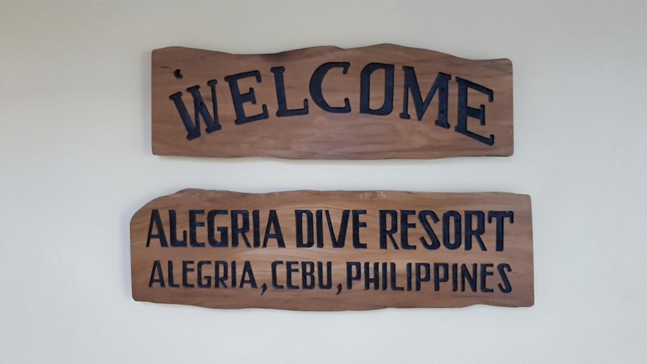 Alegria Dive *