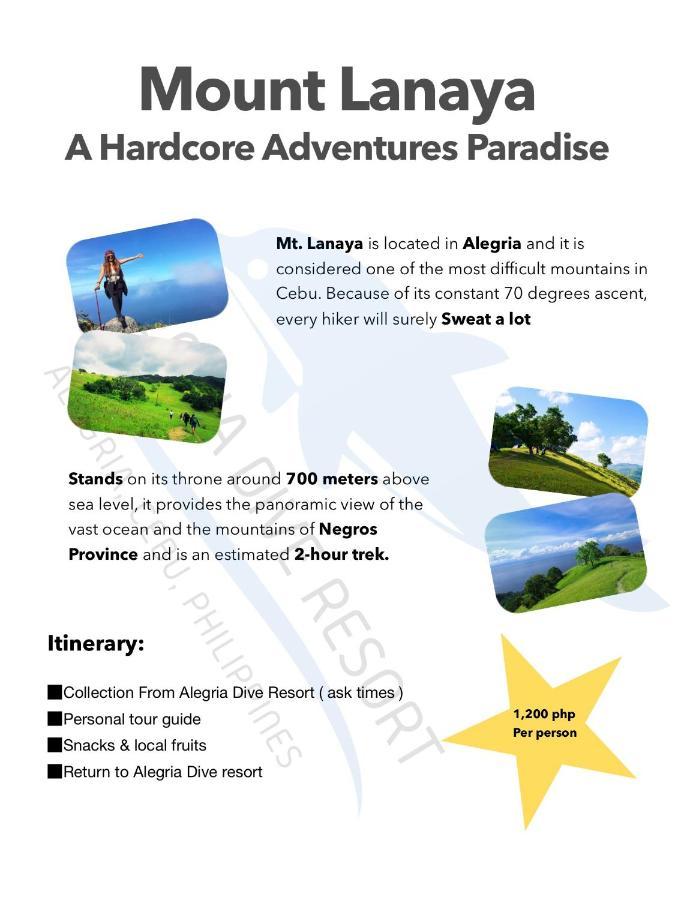 Alegria Dive Albergue