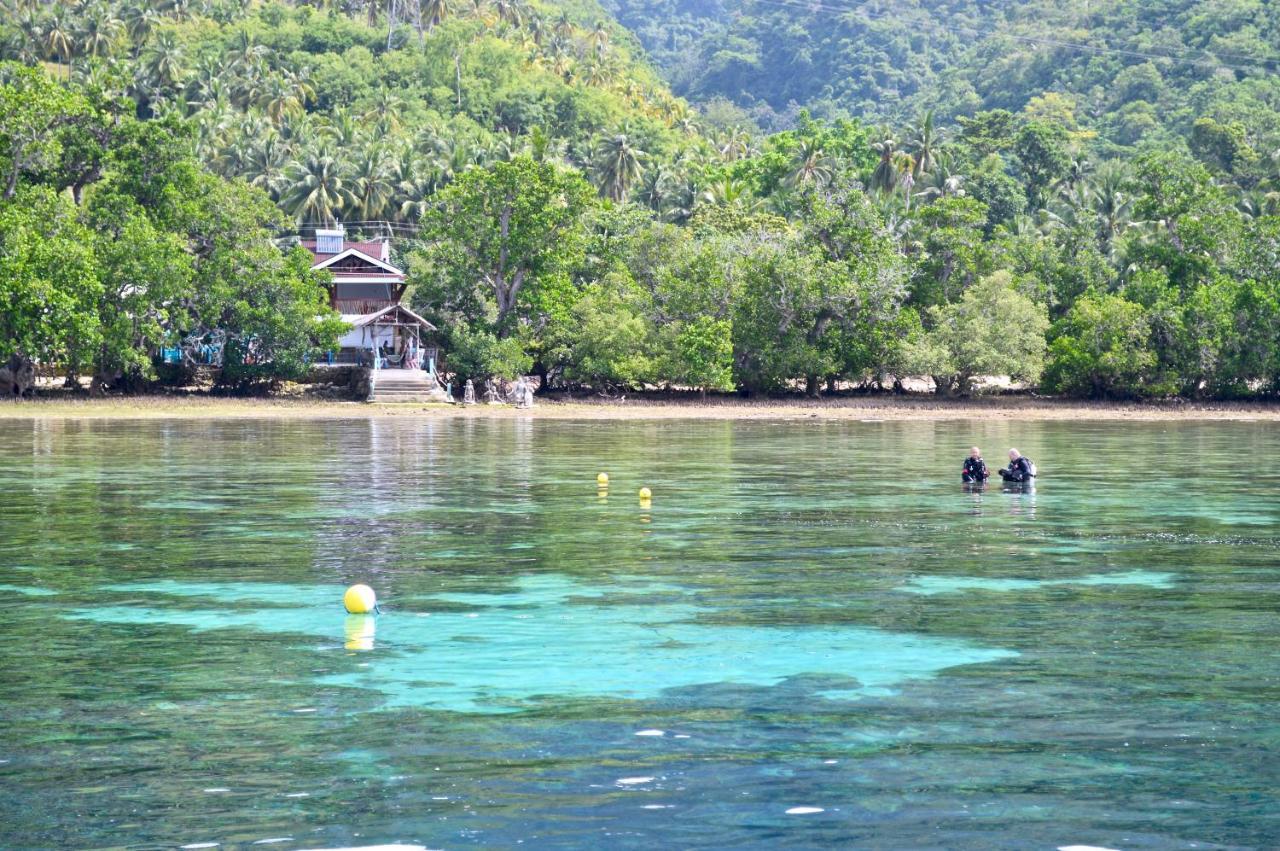 Albergue Alegria Dive