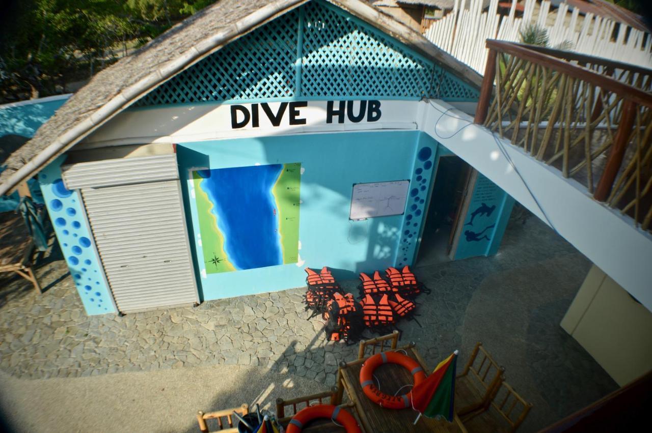 Alegria Dive *