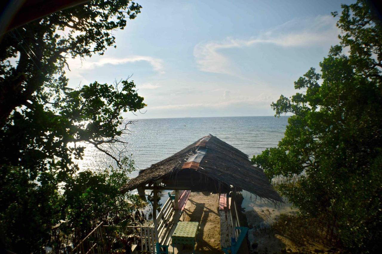Alegria Dive * Alegria (Cebu)
