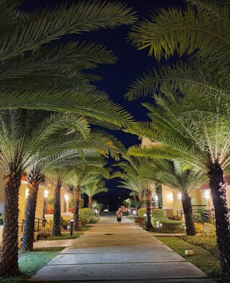 San Remo Oasis Srp