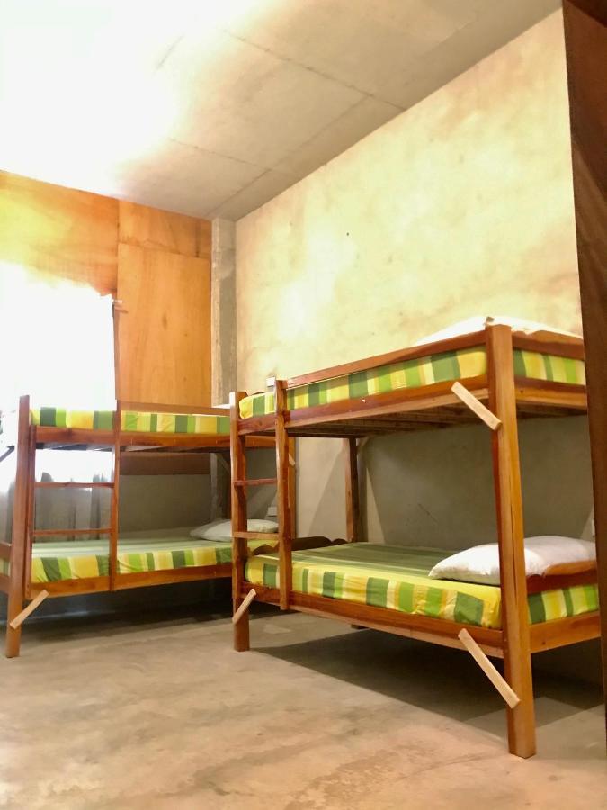 Hostel Sharky