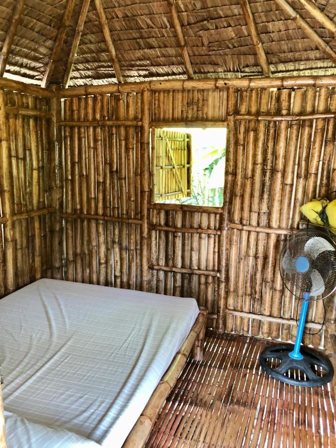 Hostel Sharky