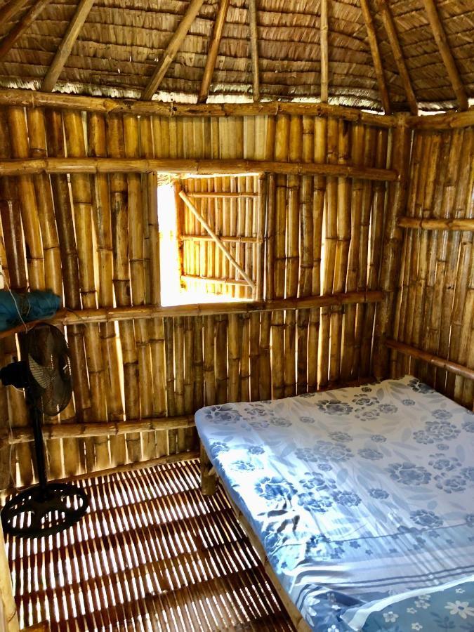 Sharky Hostel *