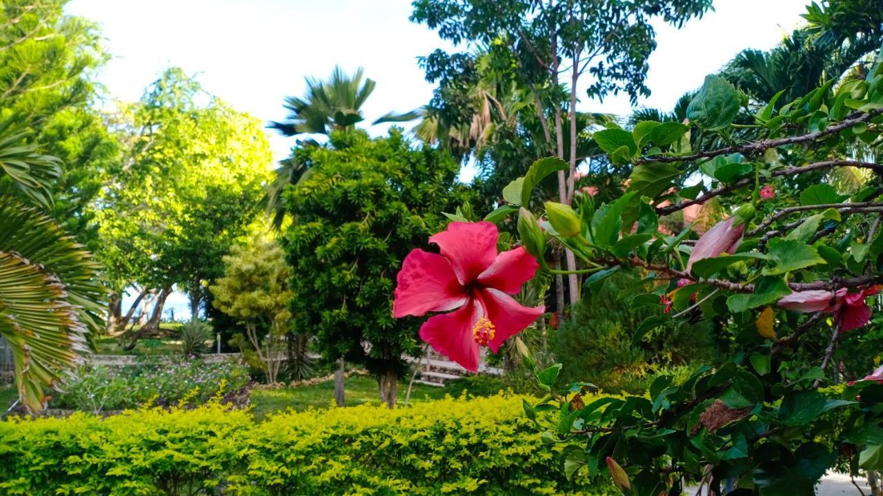 Bed & Breakfast Ancelle Cristo Re Moalboal