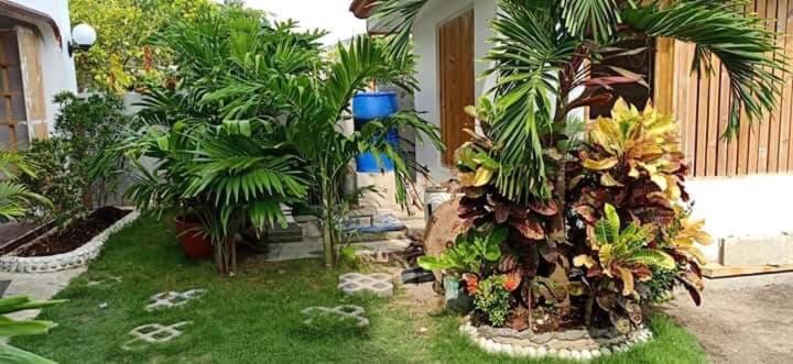 Hadassah's Place *