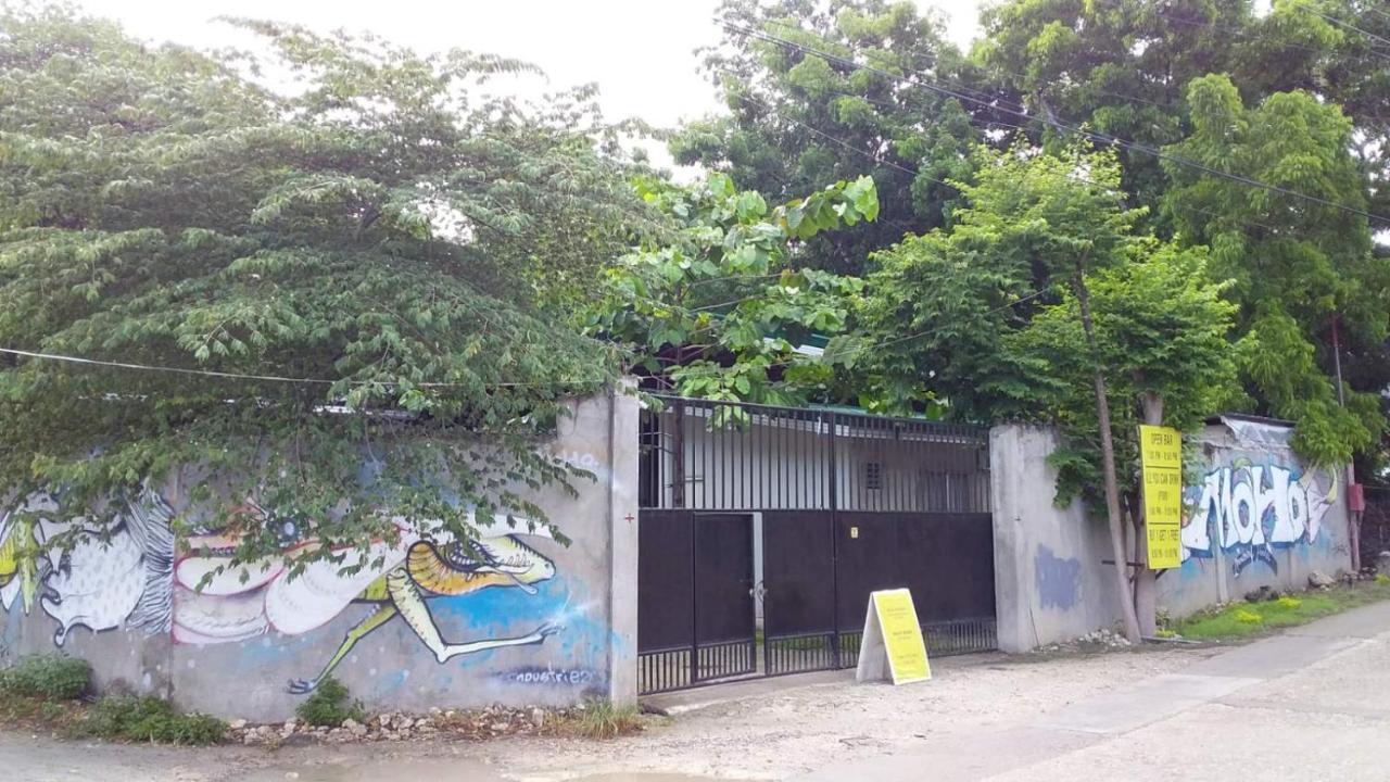Albergue Moho Moalboal