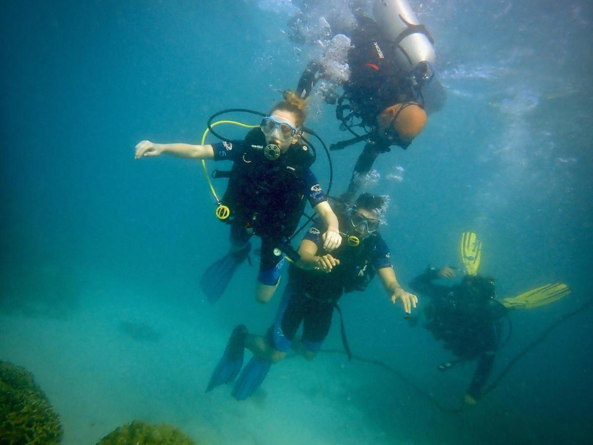Albergue Alegria Dive *