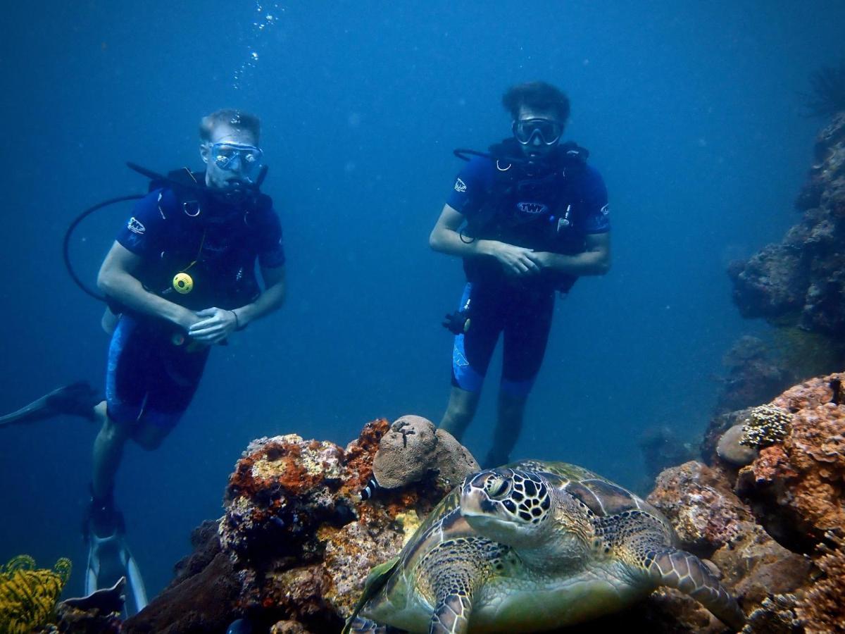 Alegria Dive Albergue Alegria (Cebu)