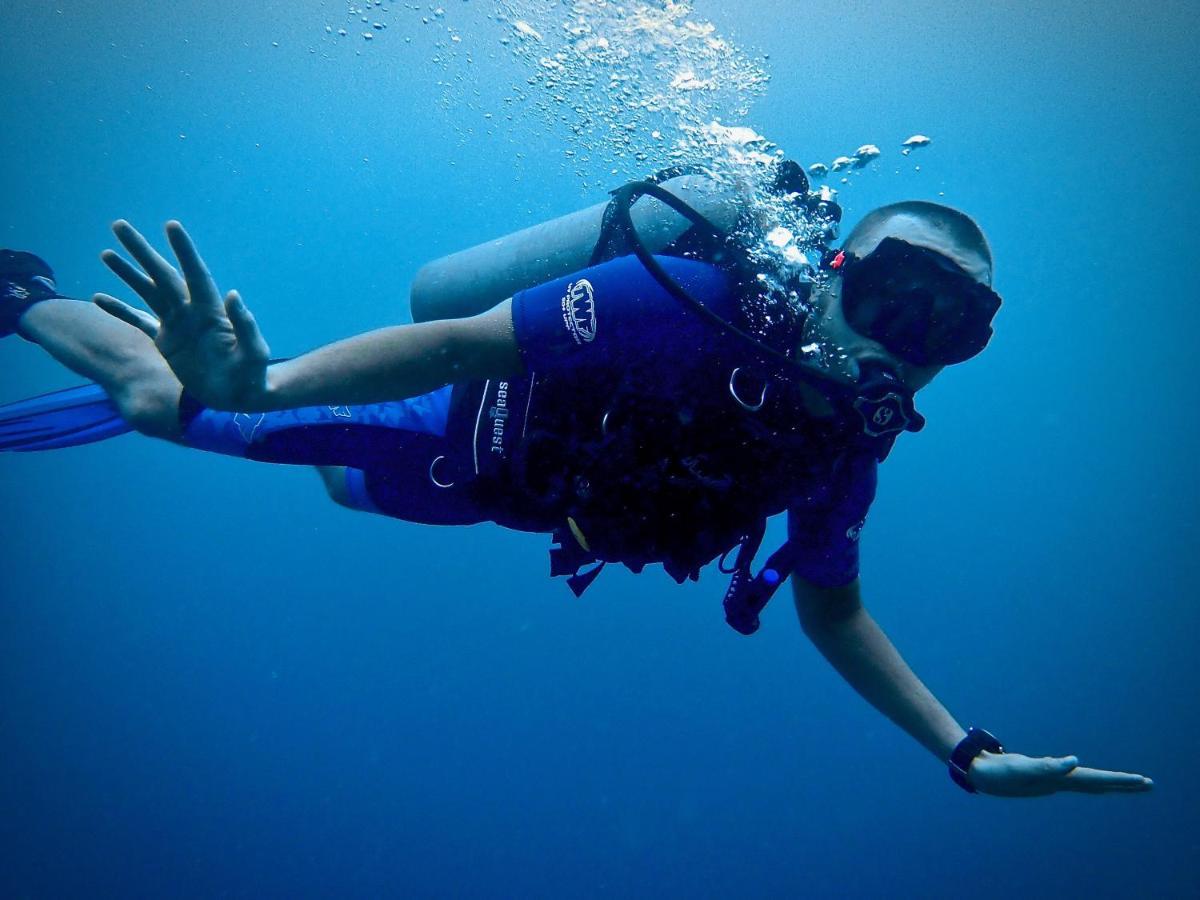 Albergue Alegria Dive *