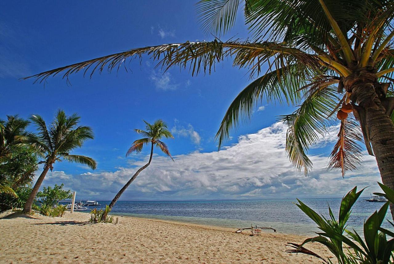 Malapascua Exotic Island Dive