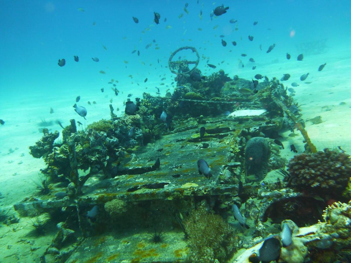 Malapascua Exotic Island Dive * Daanbantayan