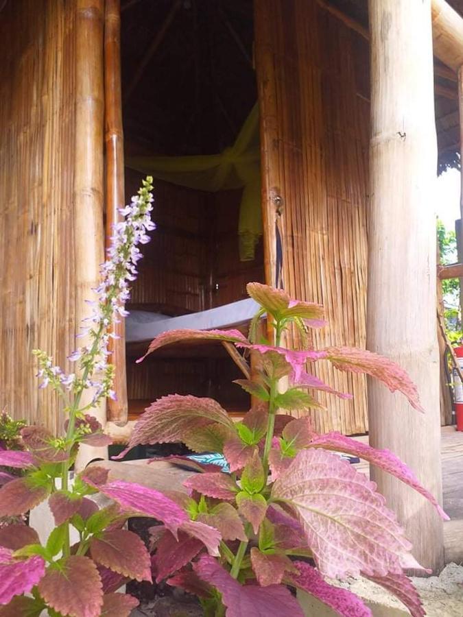 Bamboo Huts Homestay