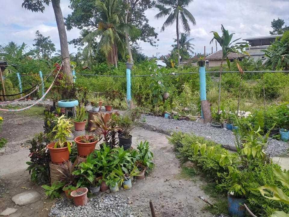 Bamboo Huts Homestay *
