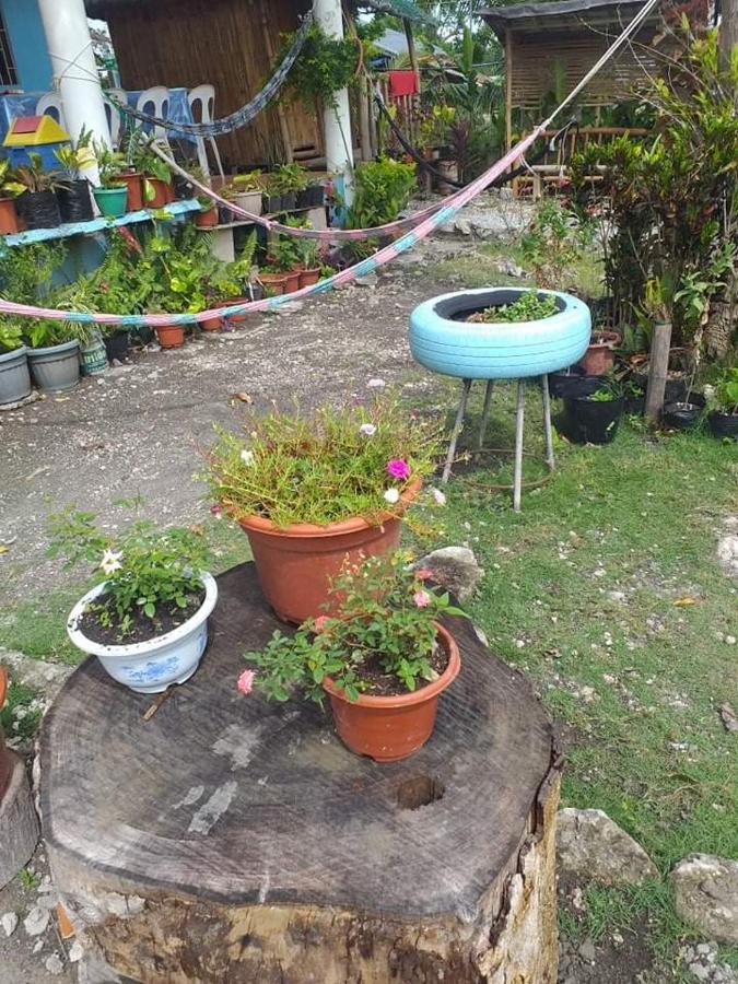 Bamboo Huts Homestay *
