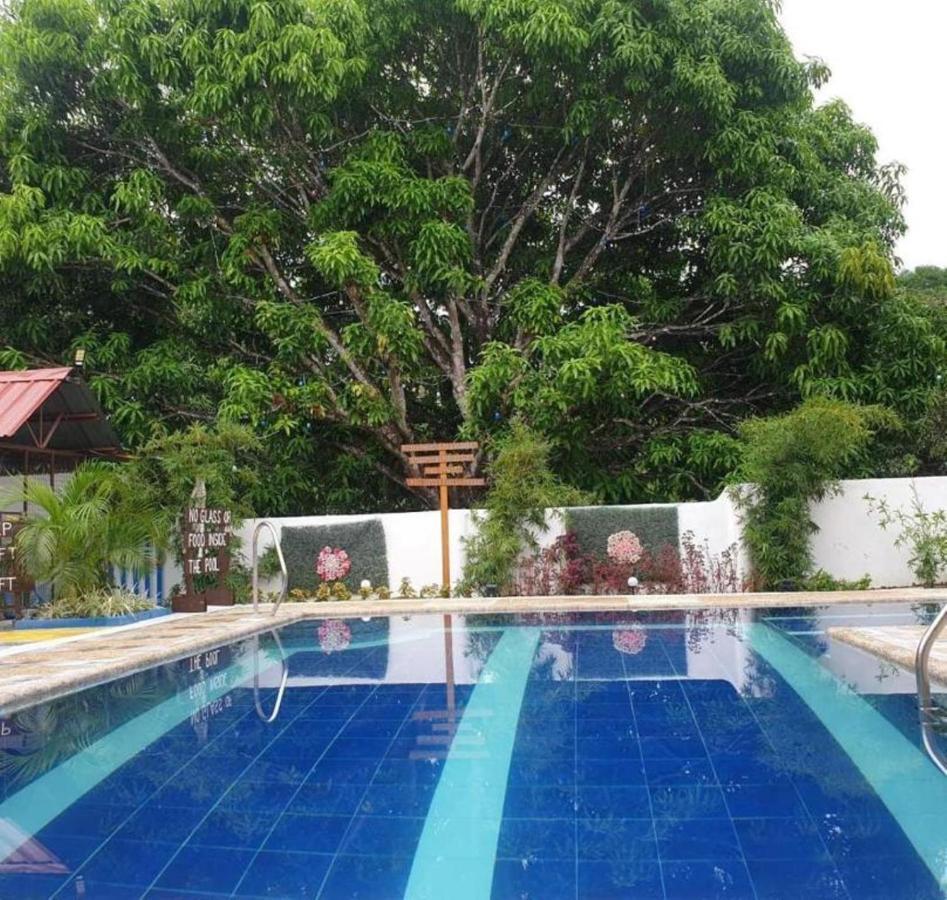 Susane Bed & Breakfast