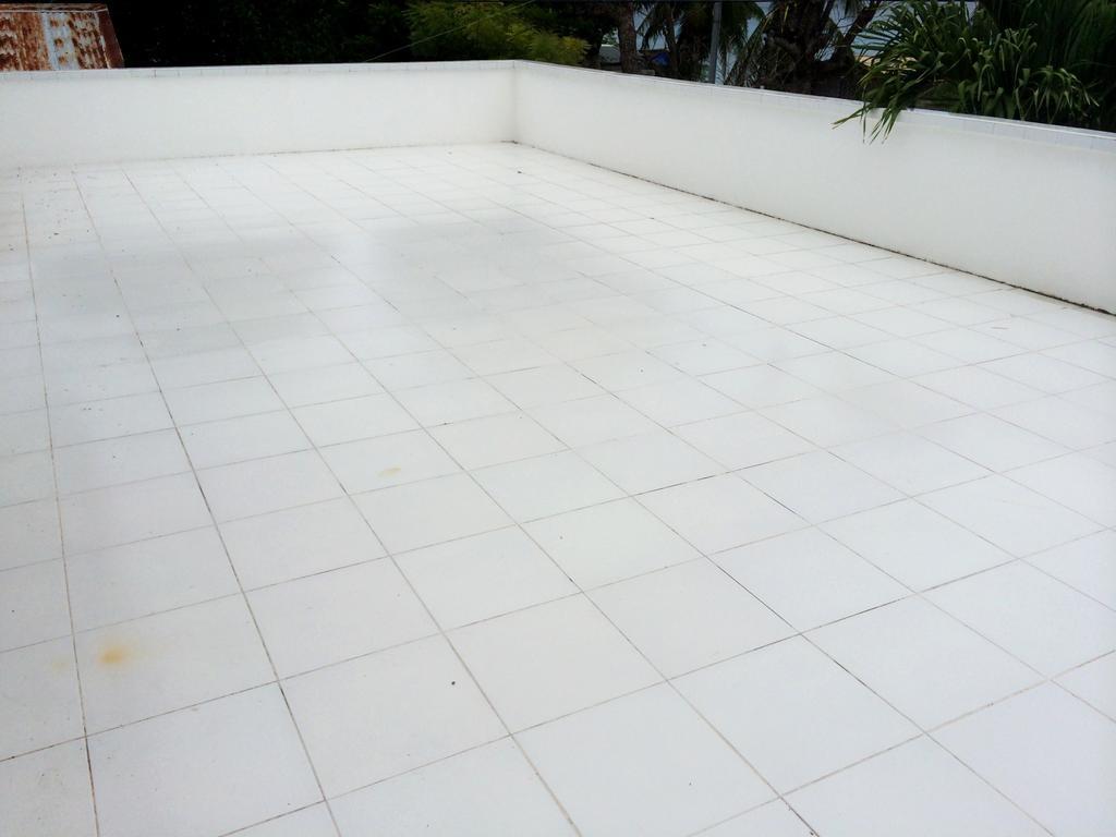 Luzmin Bh - White House *