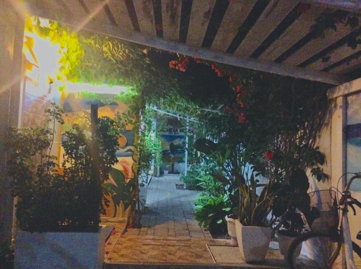 Guest house Gardenia House Rent