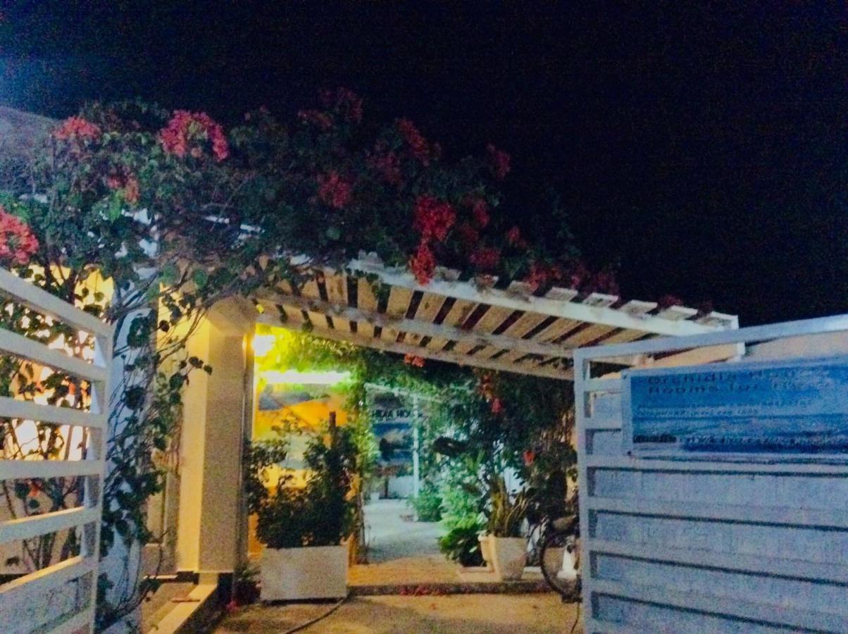 Gardenia House Rent