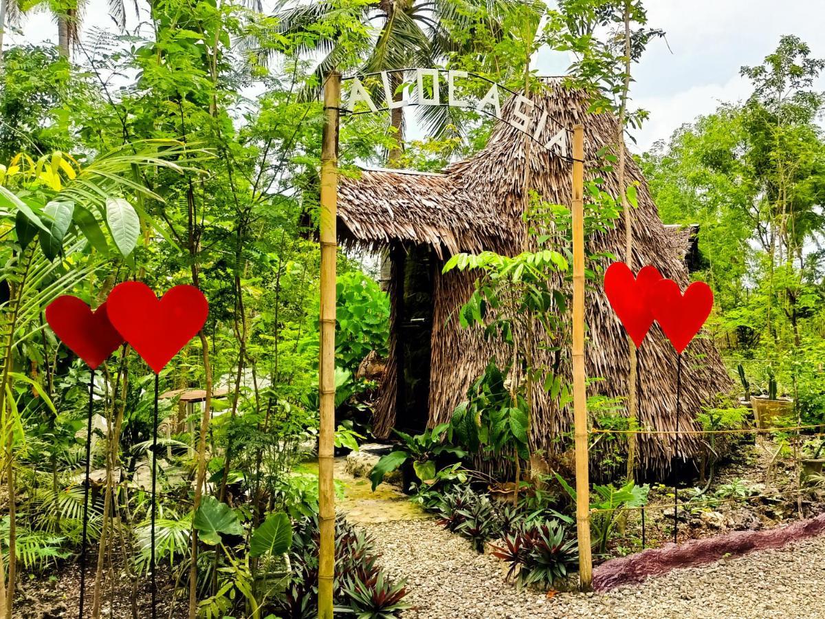 Archery-asia Nipa Huts Campsite Moalboal