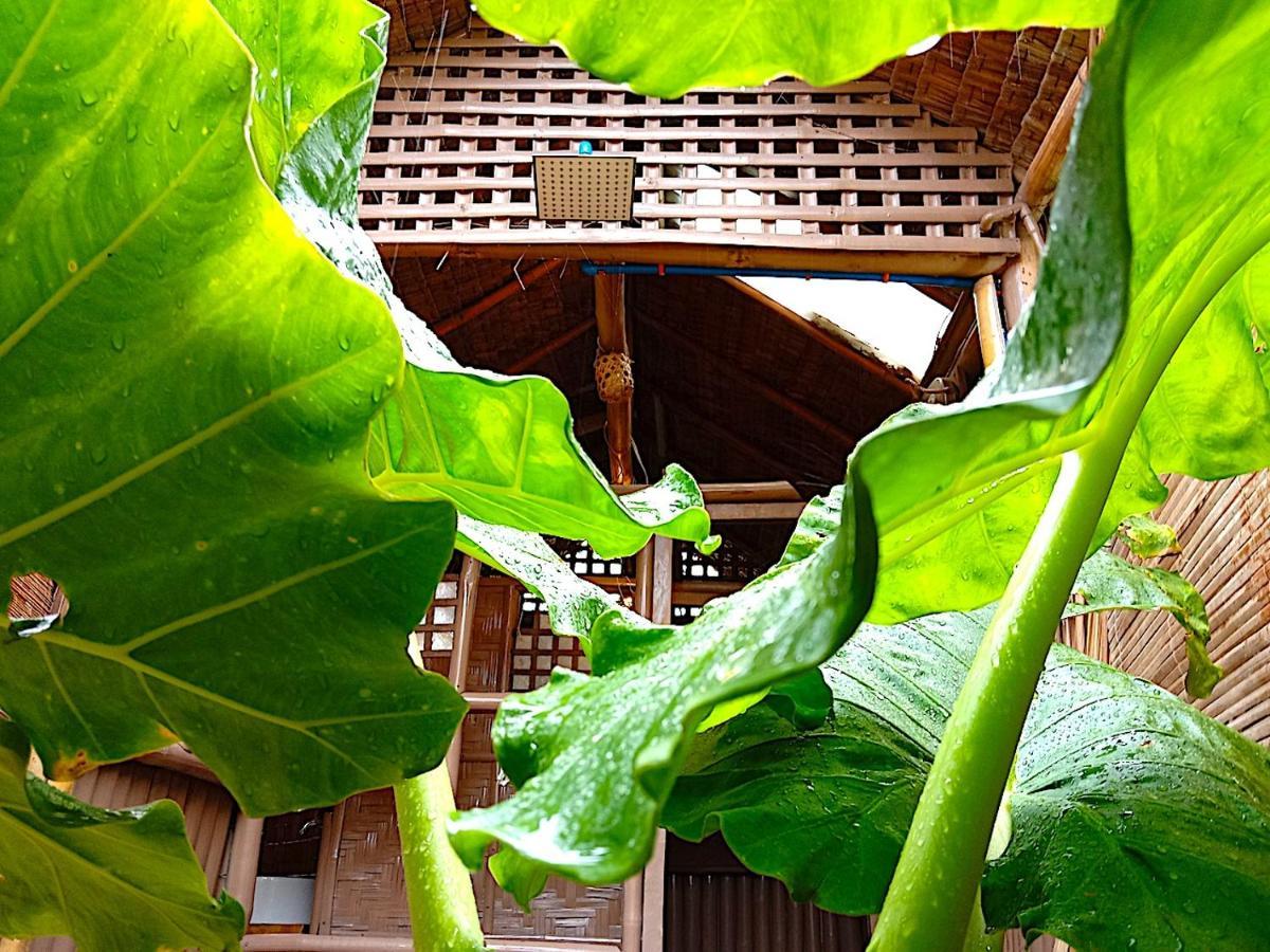 Herbs Guest House And Restaurant Near The Sea (Adults Only) Moalboal