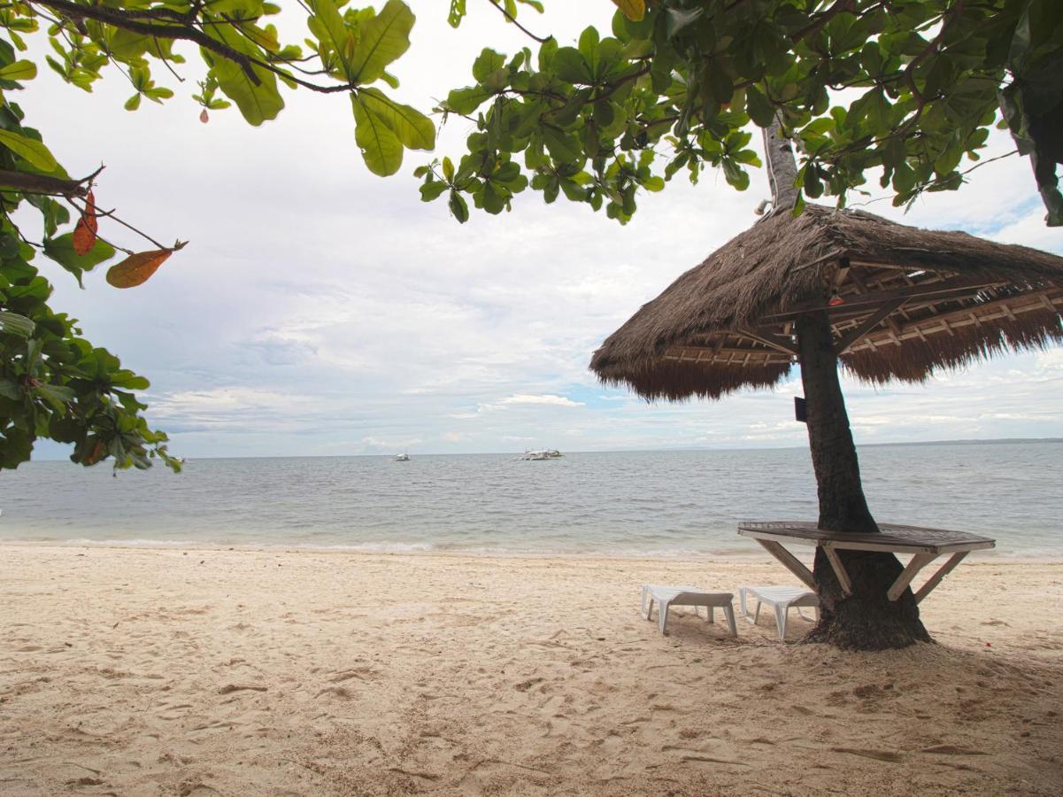 Oyo 853 Beach And Dive Hotel 3*