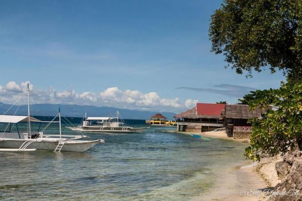 D'gecko Hotel