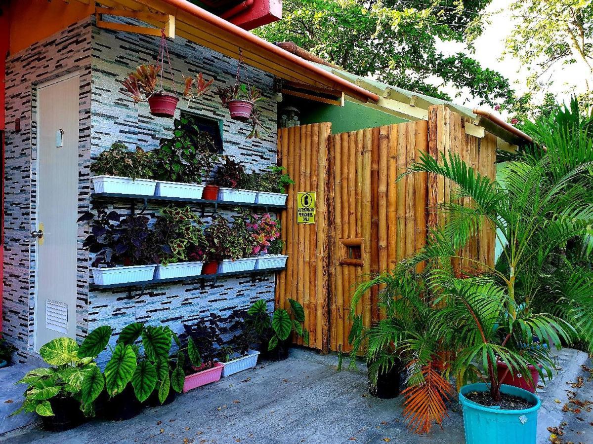 Casa de hóspedes Mj's Residences Garden