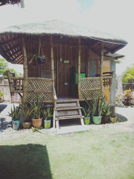 Titanic's Nipa Hut Hostel *