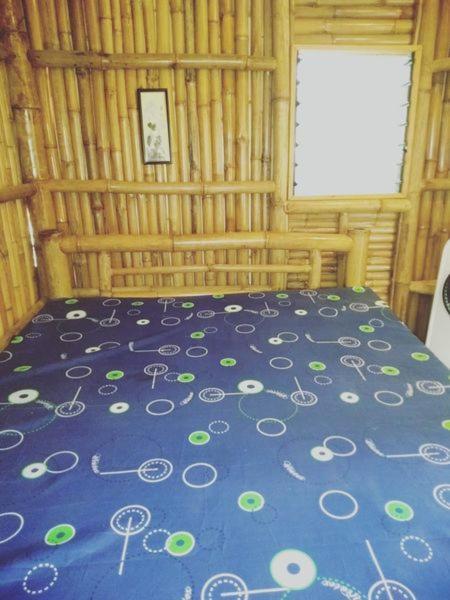 Titanic's Nipa Hut *