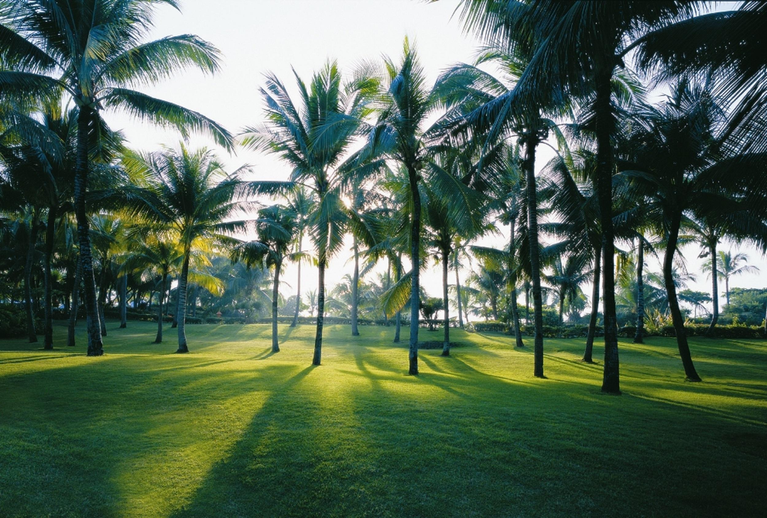 Shangri-la Mactan, Cebu 5*